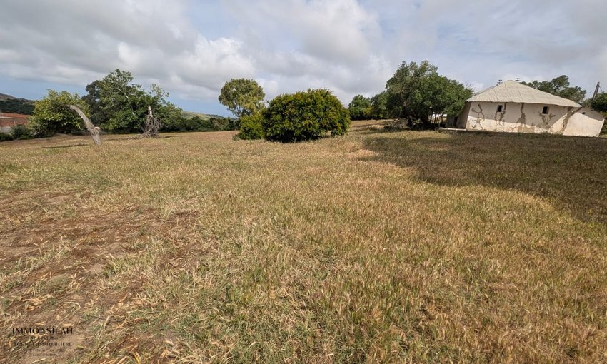 🏡 TERRAIN TITRÉ DE 11 716 M² À VENDRE –  RÉGION D’ASILAH  - view 3