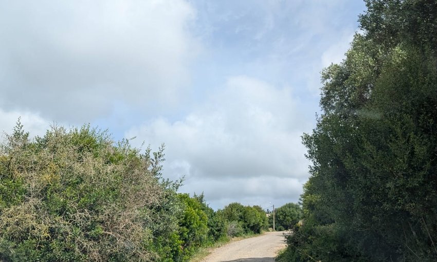 🏡 TERRAIN TITRÉ DE 11 716 M² À VENDRE –  RÉGION D’ASILAH  - view 3