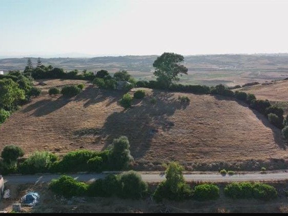 🏡 TERRAIN TITRÉ DE 11 716 M² À VENDRE –  RÉGION D’ASILAH 