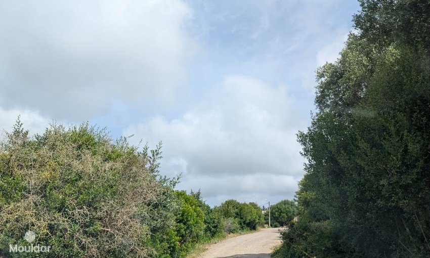 Agrarisch land te koop in Asilah van 11.716 m² - view 3