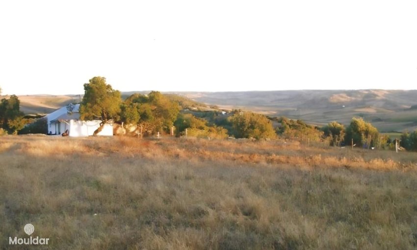 Terreno agrícola en venta en Asilah de 11,716 m² - view 8