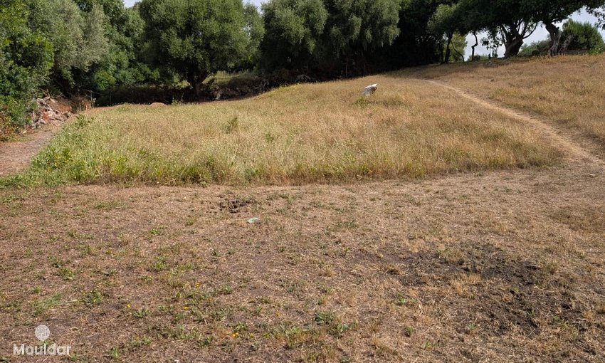 Terreno agrícola en venta en Asilah de 11,716 m² - view 11