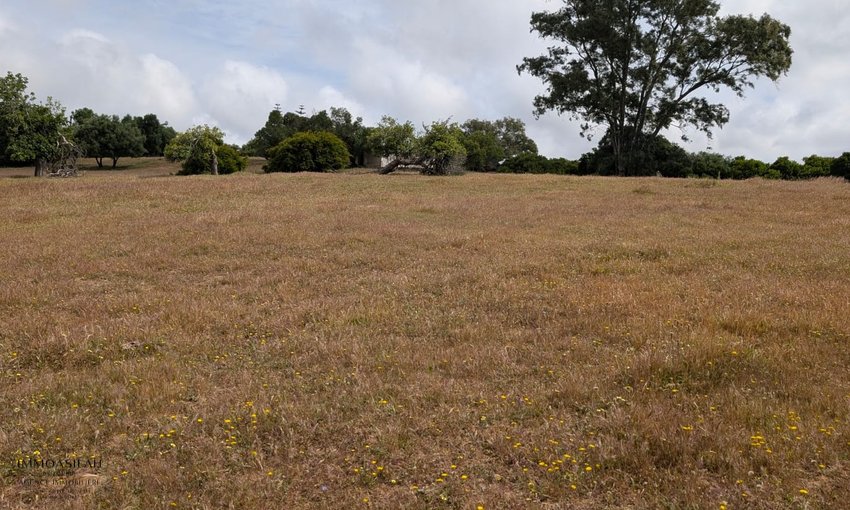 🏡 TERRAIN TITRÉ DE 11 716 M² À VENDRE –  RÉGION D’ASILAH  - view 5