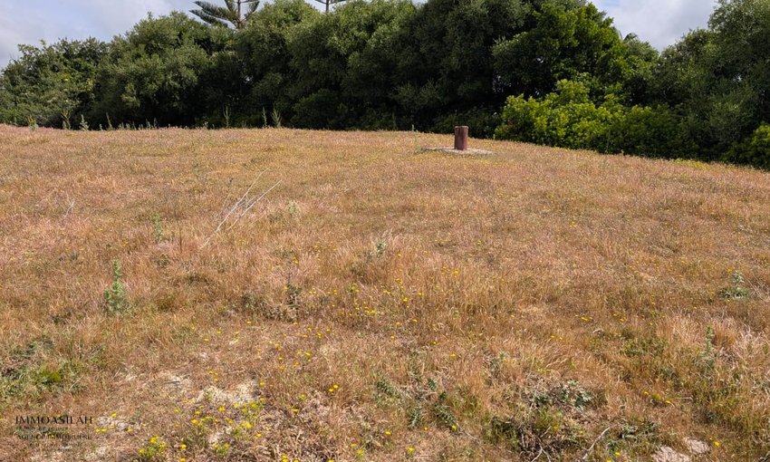 🏡 TERRAIN TITRÉ DE 11 716 M² À VENDRE –  RÉGION D’ASILAH  - view 2