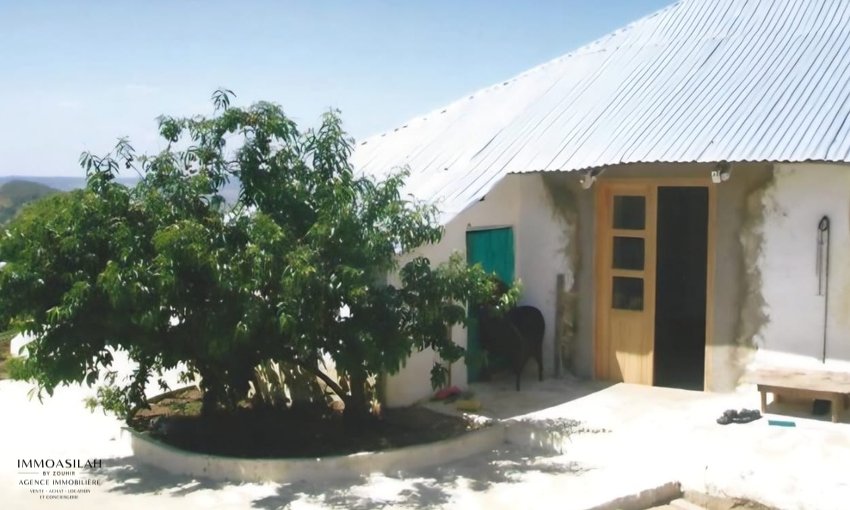 🏡 TERRAIN TITRÉ DE 11 716 M² À VENDRE –  RÉGION D’ASILAH  - view 4