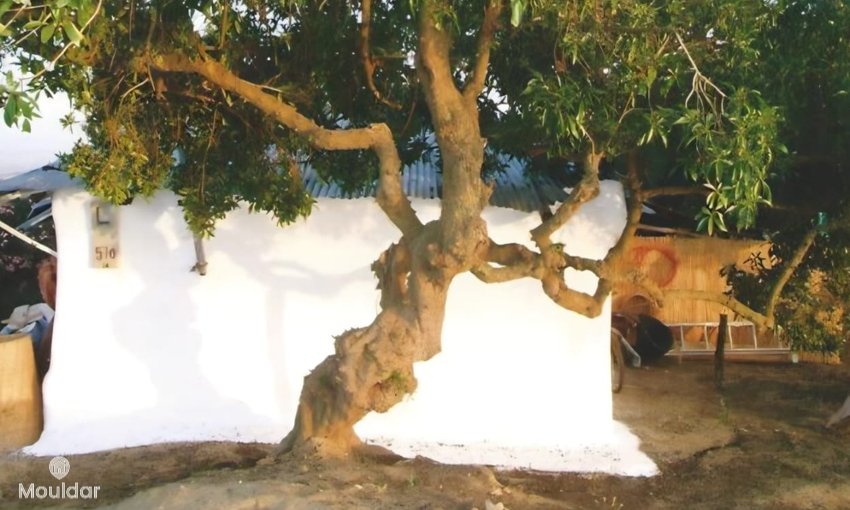 Terreno agrícola en venta en Asilah de 11,716 m² - view 12