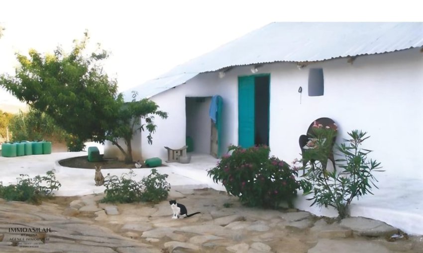 🏡 TERRAIN TITRÉ DE 11 716 M² À VENDRE –  RÉGION D’ASILAH  - view 2