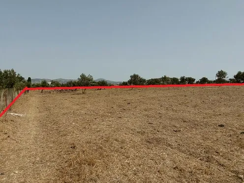 Ferme à vendre | Tanger Autre secteur