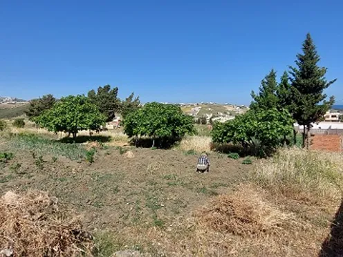 Terrain titré à vendre | Tanger Autre secteur