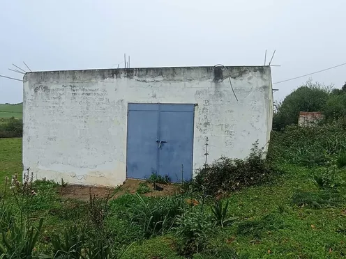 Ferme à vendre avec terrasse | Asilah