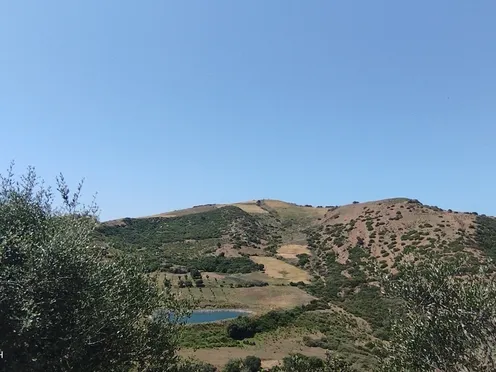 Terrain à vendre | Asilah