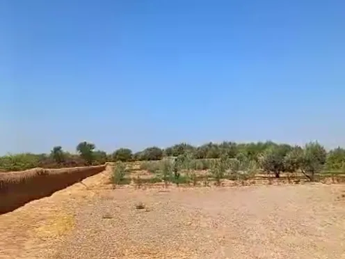 Terrain à vendre | Marrakech Route de Ouarzazate