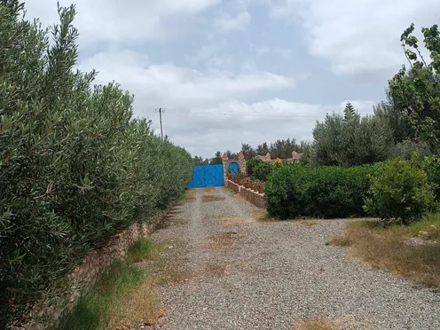 Villa à vendre avec piscine | Essaouira Route de Safi