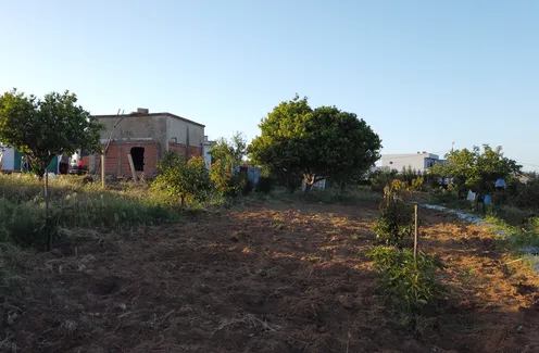 Ferme à vendre à Asilah