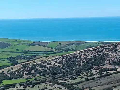 Terrain titré à vendre | Asilah