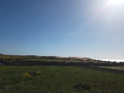 Terrain titré à vendre | Asilah