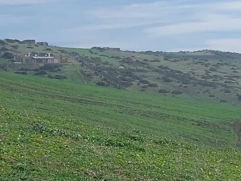 Terrain titré à vendre | Asilah