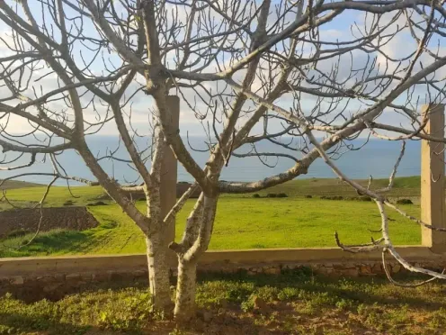 Terrain titré à vendre | Asilah