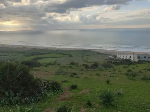 Terrain titré à vendre | Asilah