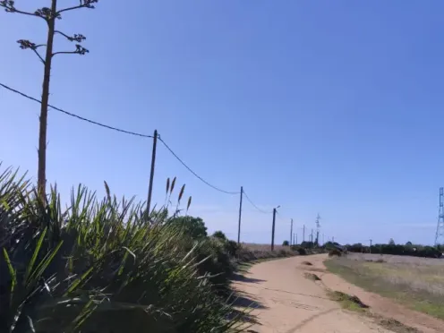 Terrain titré à vendre | Asilah