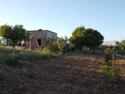 Ferme titrée à vendre | Asilah