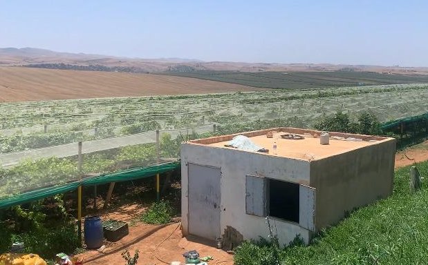 Ferme à vendre — Meknès