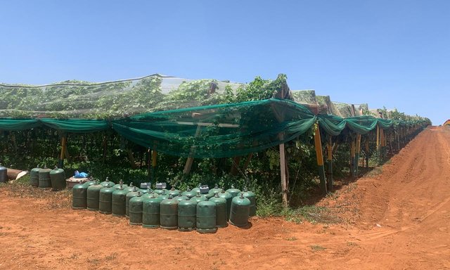 Ferme à vendre — Meknès - 4