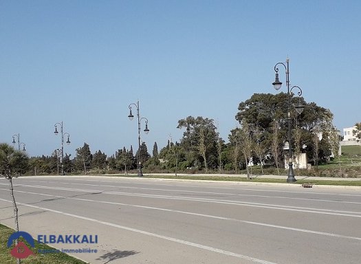 أرض محفظة للبيع لبناء فيلا - 2