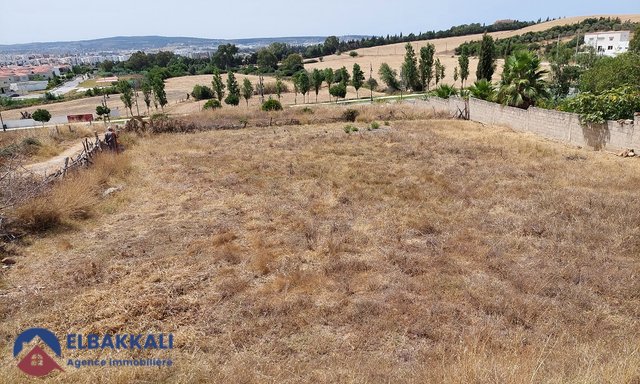 Terrain titré à vendre — Tanger, Achakar