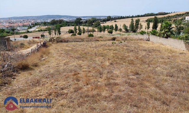 Terrain titré à vendre — Tanger, Achakar - 2