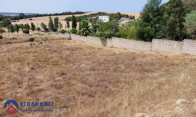 Terrain titré à vendre — Tanger, Achakar - 3