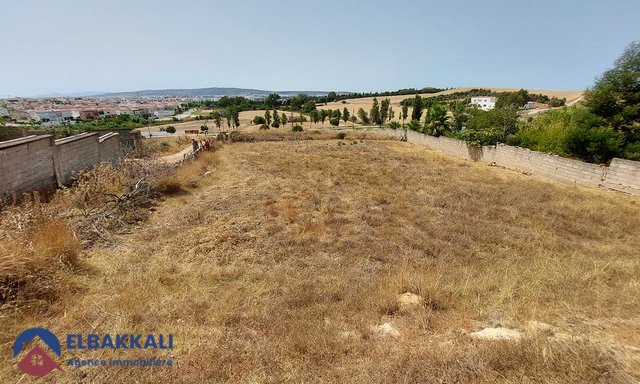 Terrain titré à vendre — Tanger, Achakar - 4