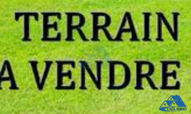 Terrain titré en lotissement à vendre