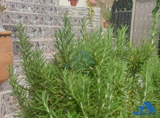 Villa for sale with terrace and two floors — Kenitra, Ouled Oujih