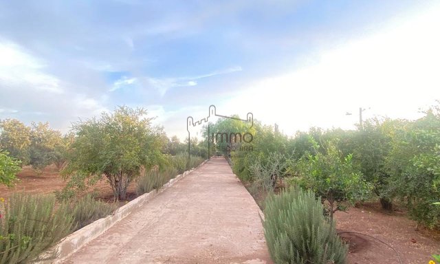 Terrain Titré Agricole à Vendre : 12 000 m²  - 3