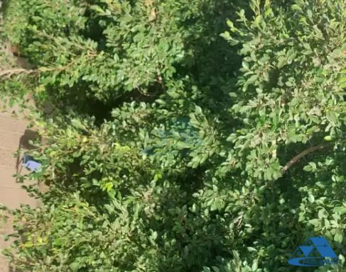 Bureau à louer avec parking au premier étage — Kénitra, Khabazat - 7