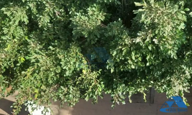 Bureau à louer avec parking au premier étage — Kénitra, Khabazat - 4