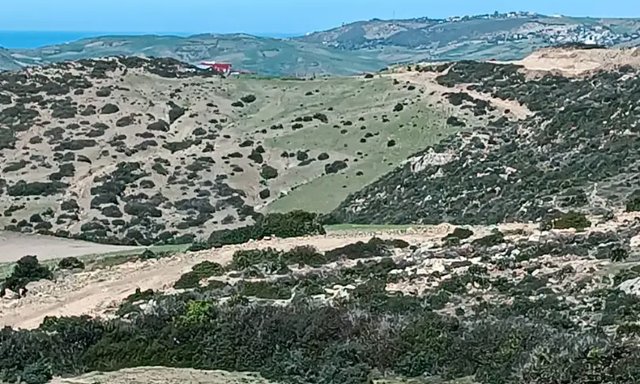 أرض محفظة للبيع لاستغلال زراعي