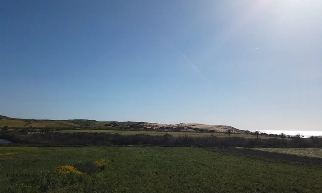 أرض محفظة للبيع لاستغلال زراعي - 2