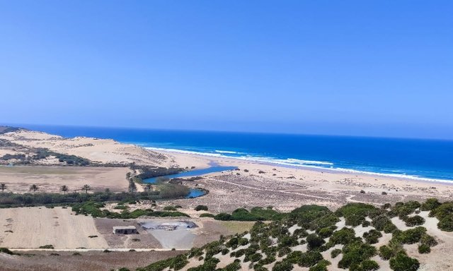 أرض محفظة للبيع لاستغلال زراعي - 2