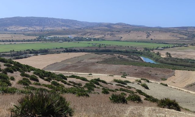 أرض محفظة للبيع لاستغلال زراعي - 3