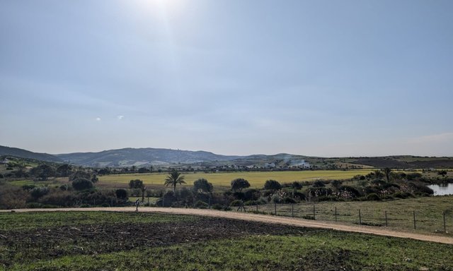 أرض محفظة للشراء لاستغلال زراعي - 3