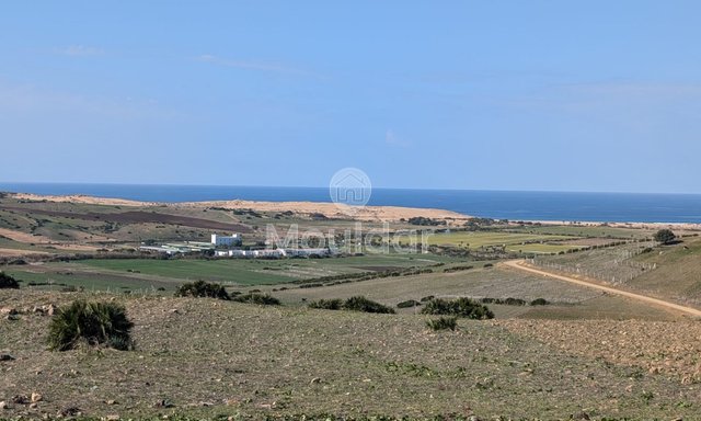 Terrain agricole titré à vendre à Asilah – 16 000 m²
