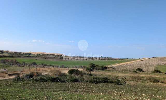 Terrain agricole titré à vendre à Asilah – 16 000 m² - 2