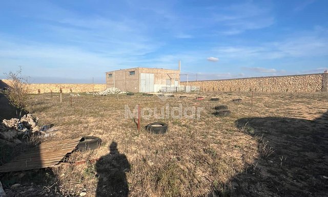 قطعة أرض مسجلة بمساحة 5280م² مع متجر في آسفي - زراعية - 4