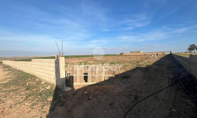 قطعة أرض مسجلة بمساحة 5280م² مع متجر في آسفي - زراعية