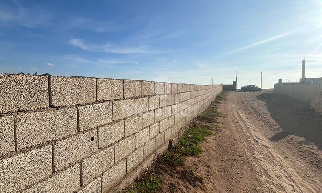 قطعة أرض مسجلة بمساحة 5280م² مع متجر في آسفي - زراعية - 2