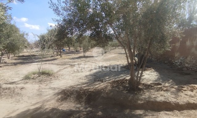 أرض زراعية للبيع في إيدويران - فرصة فريدة - 4