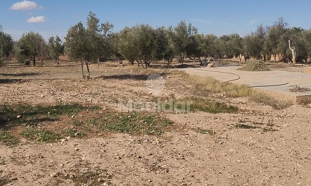 أرض زراعية للبيع في إيدويران - فرصة فريدة - 2