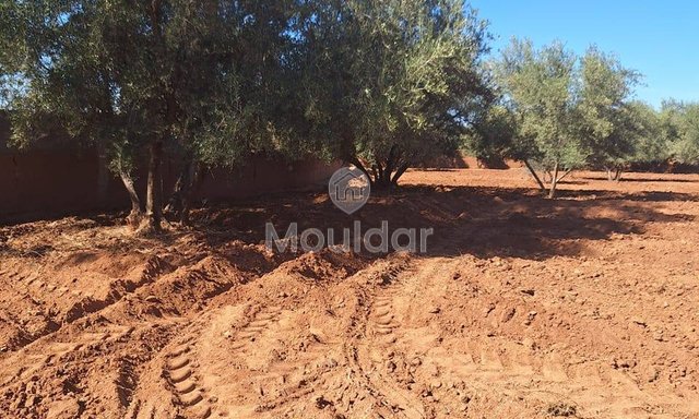 أرض زراعية للبيع في مراكش - سيدي عبد الله غيات - 2